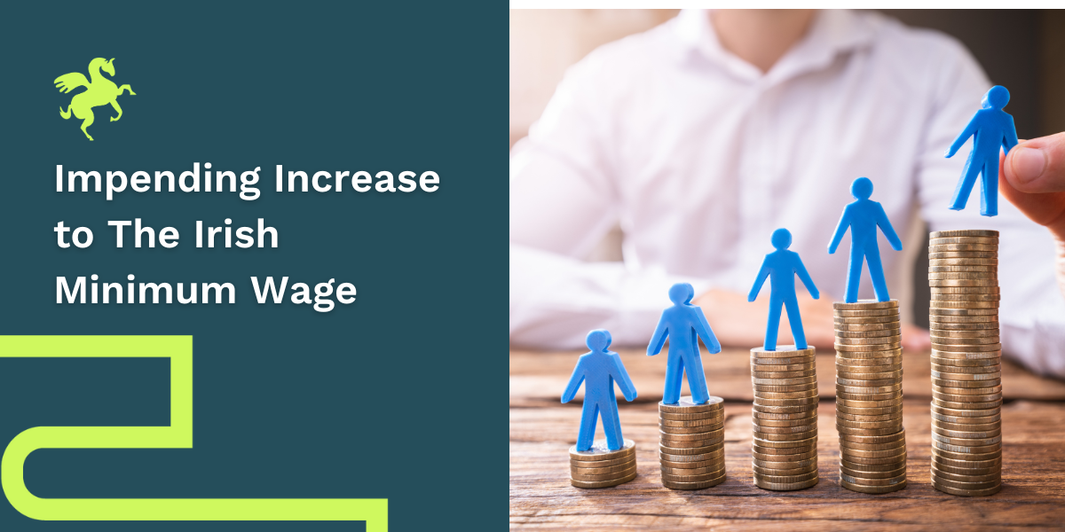 Minimum Wage 2025 Ireland Fifine Noelani